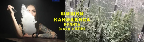 apvp Инсар