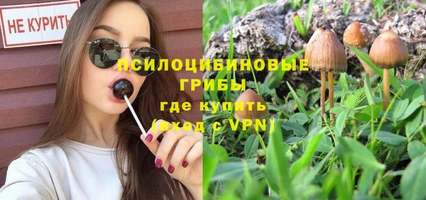 apvp Инсар