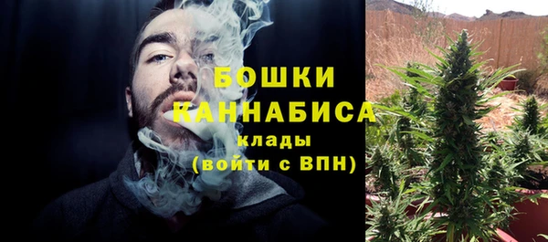 амф Инта