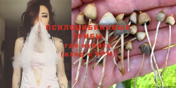 бутират Касимов
